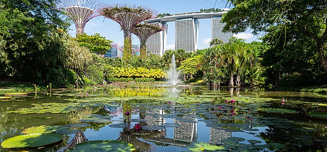 The Gardens by the Bay