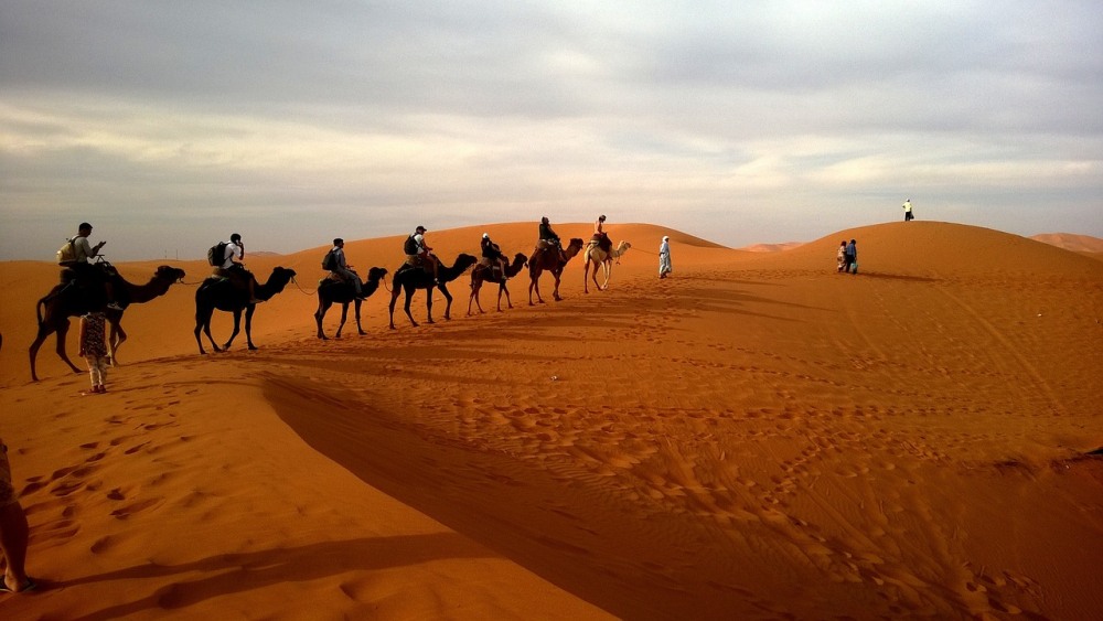Екскурзии и почивки до Сафари в пустинята