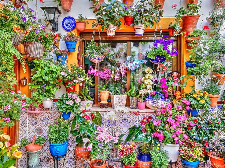 Пролет в Кордоба - Фестивалът „Fiesta de los Patios“ - снимка 1