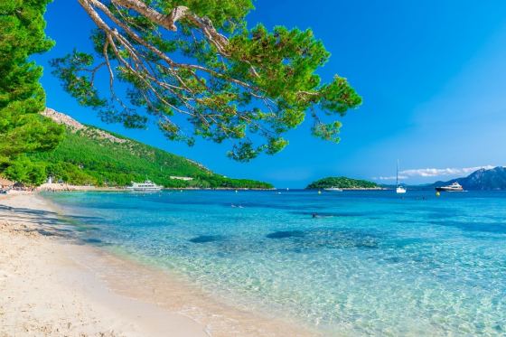 Почивка в Палма де Майорка - лято 2026