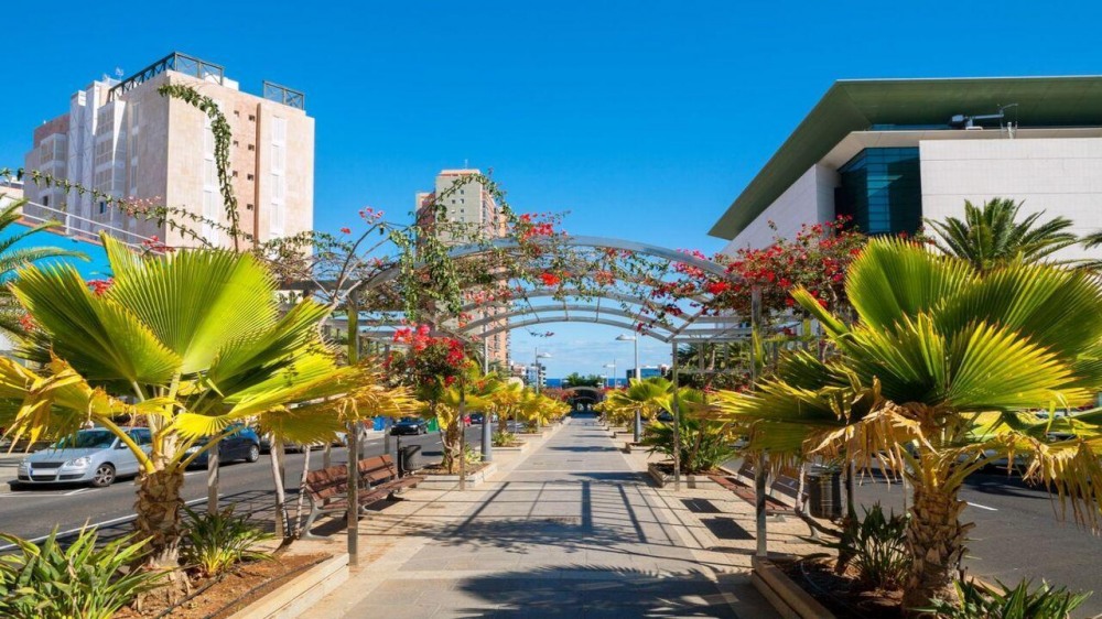 Канарски острови – Тенерифе: романтика под златни залези - чартърен полет от София - снимка 6