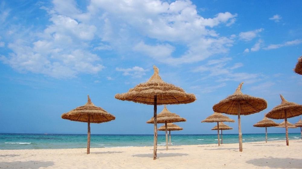 ТУНИС 2026 - 8 дни ALL INCLUSIVE почивка с дъх на екзотика - полет от София - Понеделник и Петък - снимка 2