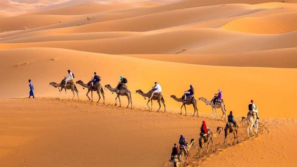 ТУНИС 2026 - 8 дни ALL INCLUSIVE почивка с дъх на екзотика - полет от София - Понеделник и Петък - снимка 8